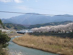 環境保全への取り組み